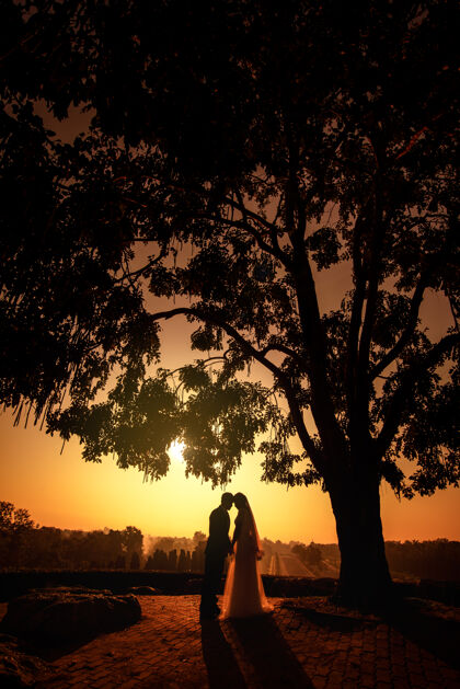 蜜月在黄昏的天空中 一对相爱的新婚夫妇在夕阳中亲吻和牵手的剪影影子浪漫云