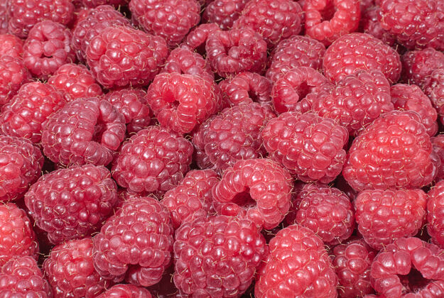 饮食新鲜多汁的树莓背景特写甜点成熟的浆果