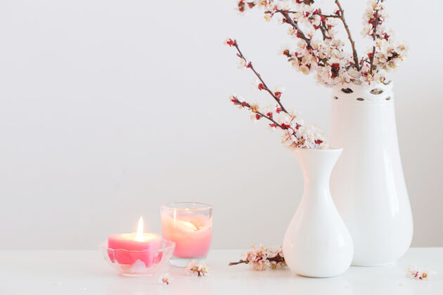 生活白色背景的花瓶里有樱桃花花年份植物