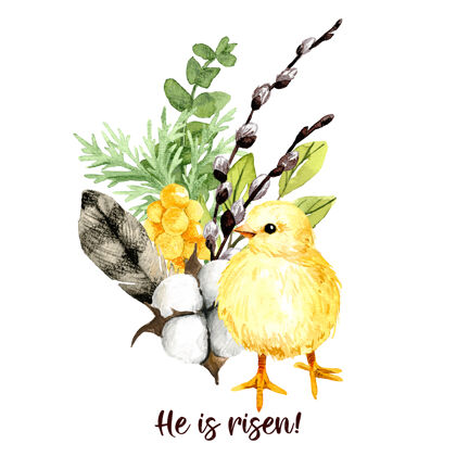 多彩复活节作文与柳树插画设计季节小鸡水彩