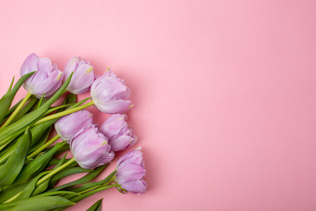 木材粉红色背景上的郁金香是文本的地方花问候花束