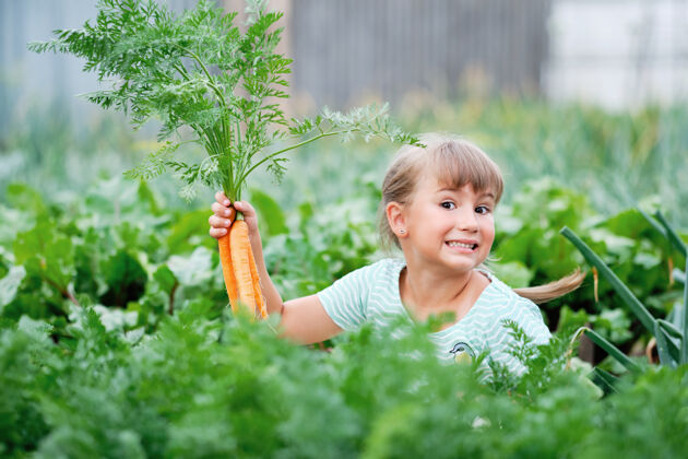 生物小女孩在厨房里摘胡萝卜花园.秋天蔬菜收获循环篮子有机