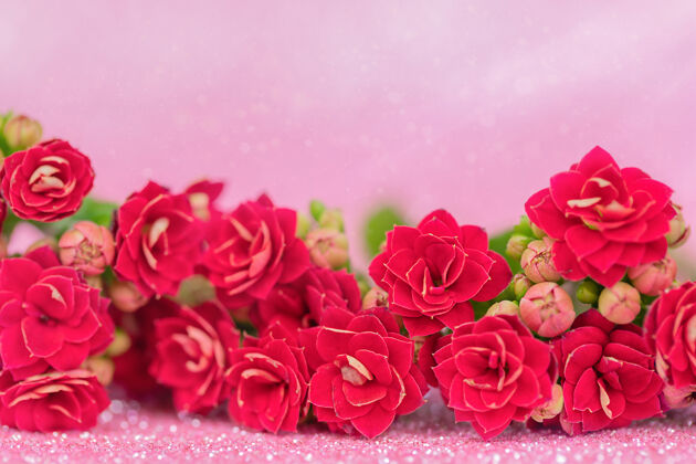 开花粉红色背景上的红花浪漫花束束