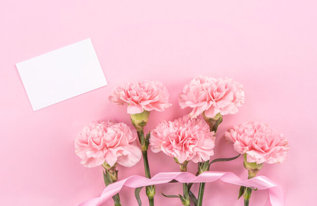 纸粉色康乃馨的俯视图 背景是粉色的母亲节花花束康乃馨礼物