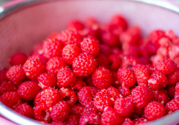 堆桶里的红树莓味道素食甜点