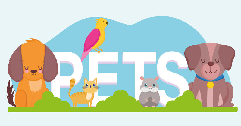 啮齿动物宠物字 可爱的狗猫仓鼠和鹦鹉动物矢量插图卡通题词动物