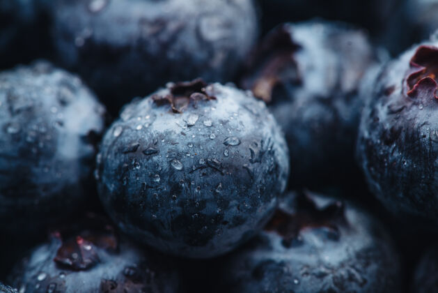 甜味美丽的新鲜蓝莓蓝莓蔓越莓食物
