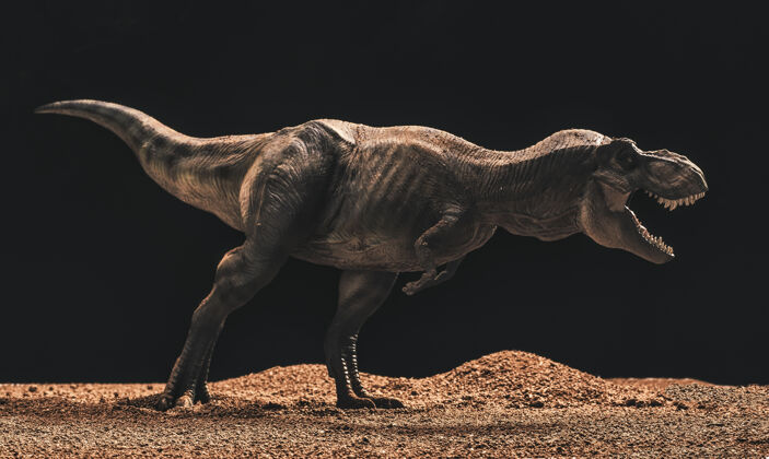 食肉动物霸王龙孤立的黑色表面爬行动物愤怒侏罗纪