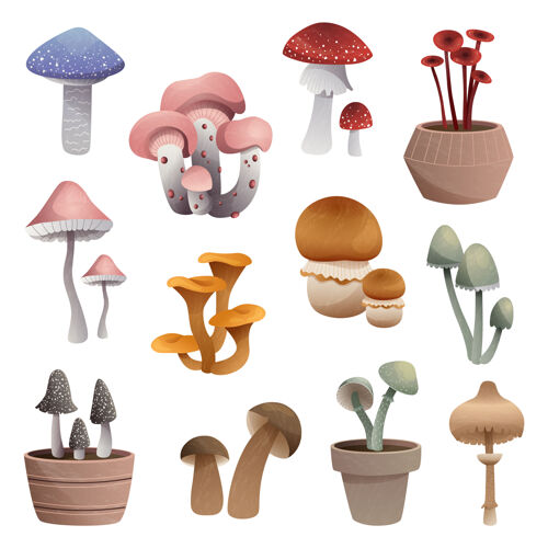 秋天在白色背景上隔离的一组不同类型的蘑菇手绘绘画八月