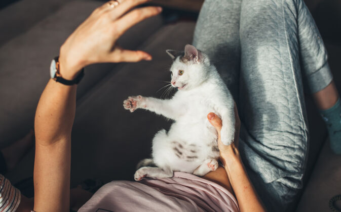 毛绒绒绒一位白人妇女正在用手做手势 而她的猫躺在她的腿上玩耍温柔快乐腿