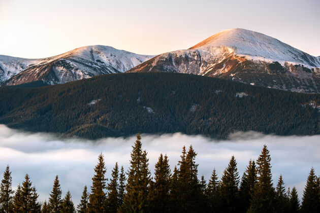 峰乌克兰喀尔巴阡山脉的最高峰霍夫拉山的景观 日出时被白色快速移动的雾云包围云景夜晚林地
