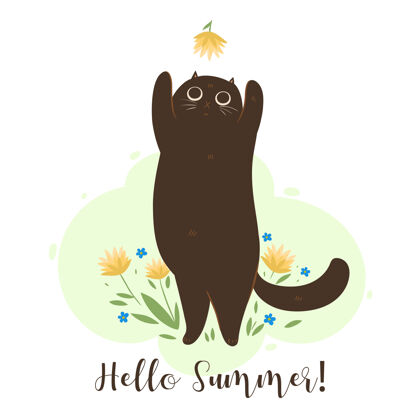 花你好 夏天的贺卡与猫和花人物宠物蝴蝶