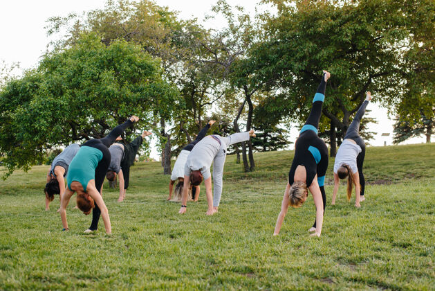 工作坊日落时分 一群人在公园里做瑜伽女人一起健身