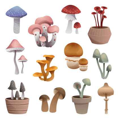 秋天在白色背景上隔离的一组不同类型的蘑菇手绘绘画八月