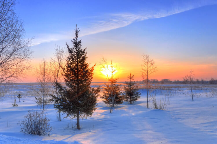 白霜在冰天雪地的冬日早晨 日出在云杉林上空田园诗光冷杉