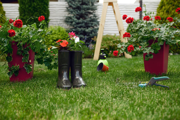 铲子园艺工具和橡胶靴 没人园丁或花店设备.浇水在花坛和花盆附近的草地上喷洒 锄和修剪 夏天的爱好 花园草夏天种植