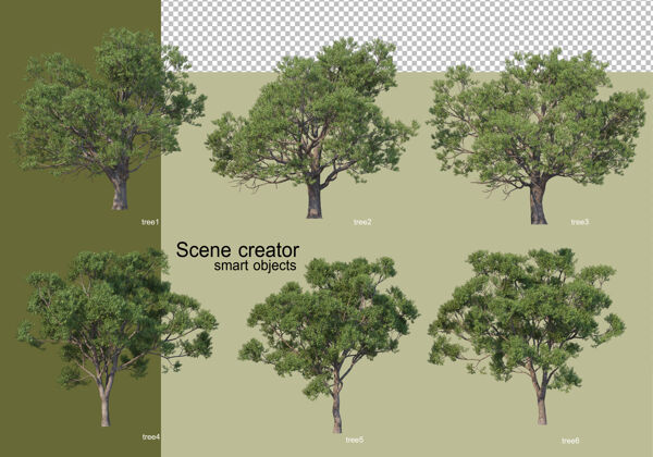 三维渲染各种树木的3d渲染隔离环境植物美丽
