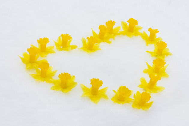花瓣一帧黄色的水仙花蕾 在一片白雪上形成一个心形花花心