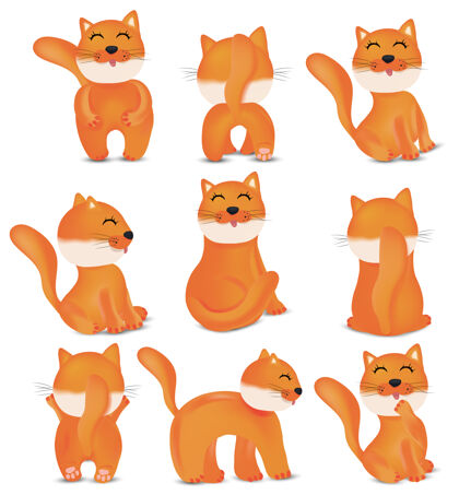 设置收集可爱的猫在不同的姿势卡通宠物猫