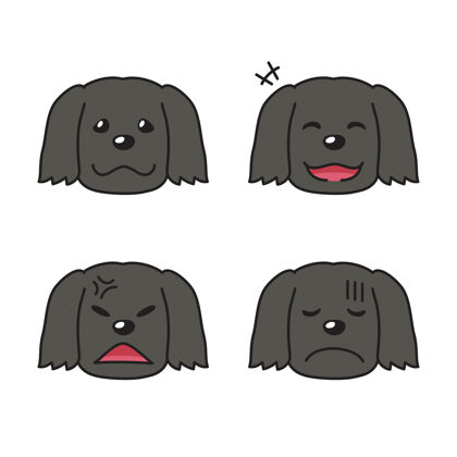 头一组展现不同情绪的黑狗脸狗动物小狗