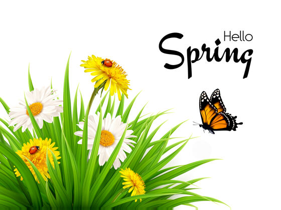 蝴蝶大自然春天的背景是草 花和蝴蝶光阳光图案