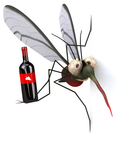 3d蚊子-三维插图翅膀3d模型动物学