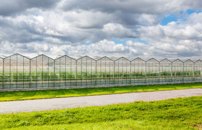 农作物温室企业种菜玻璃植物学农场