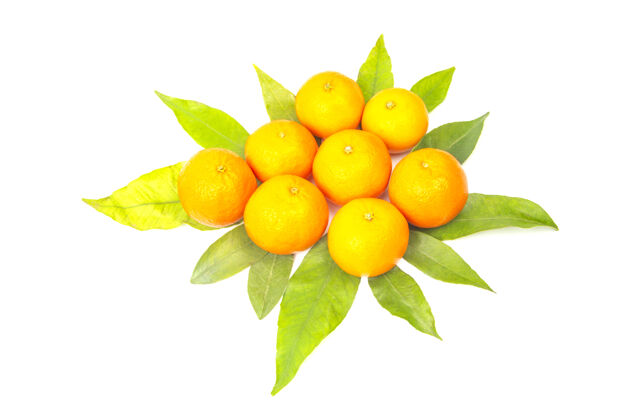 芳香白花桂叶表面维生素柑橘类水果美味营养水果