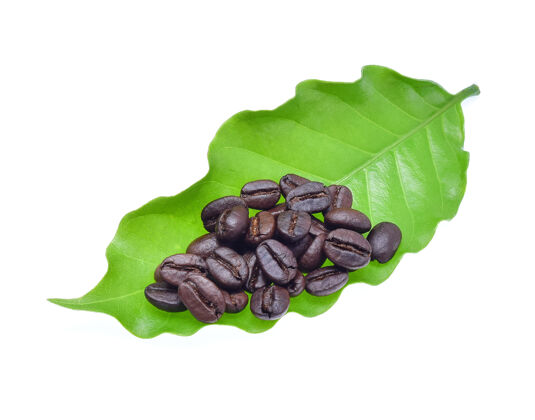 配料咖啡豆和咖啡叶就白了豆类种子生的