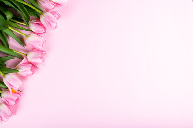粉色粉红色背景上有一束郁金香顶视图 平铺风格花朵复制空间花朵