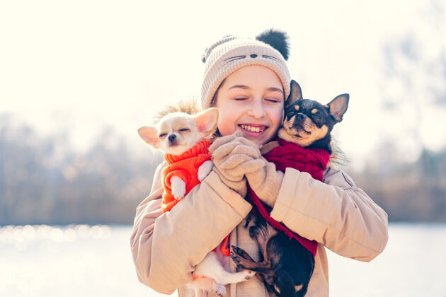 狗少女抱着她的两只小狗吉娃娃狗和成年狗dog.chihuahua小狗冬天快乐动物