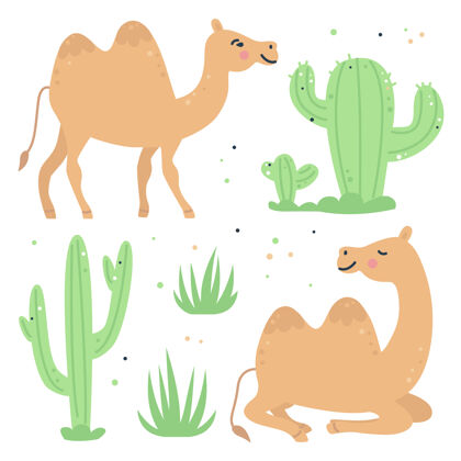 骆驼手工绘制的儿童与骆驼和仙人掌集吉祥物动物涂鸦
