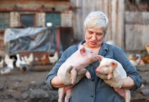 猪成年女子养在两只小猪手里畜牧业牧场哺乳动物工人
