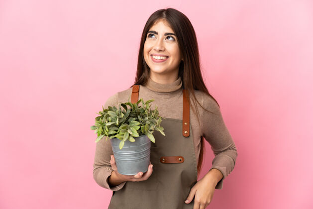 年轻年轻的园丁女孩抱着一株孤立在粉红色背景上的植物 一边抬头一边思考着一个想法尖锐困惑花盆