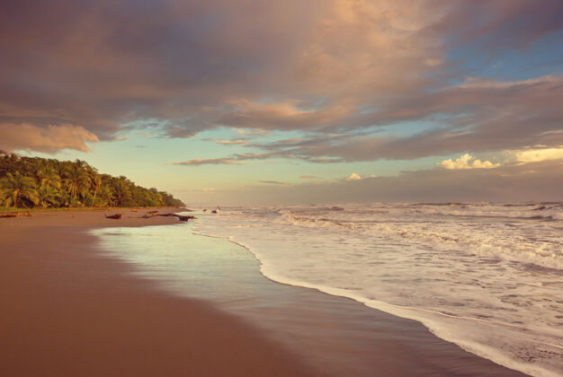 公园哥斯达黎加美丽的热带太平洋海岸海湾海岸线沙滩