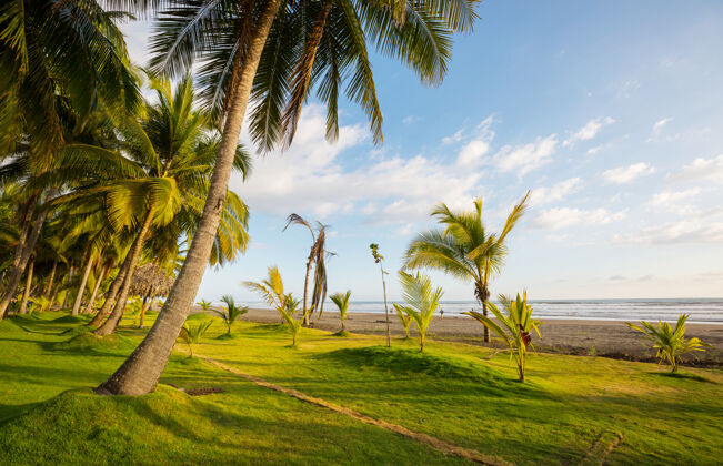 丛林哥斯达黎加美丽的热带太平洋海岸海岸线沙滩公园