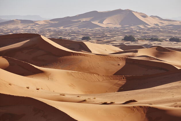 荒野无尽的撒哈拉沙漠沙漠美丽日落在撒哈拉沙漠的沙丘摩洛哥非洲自然炎热阿拉伯语