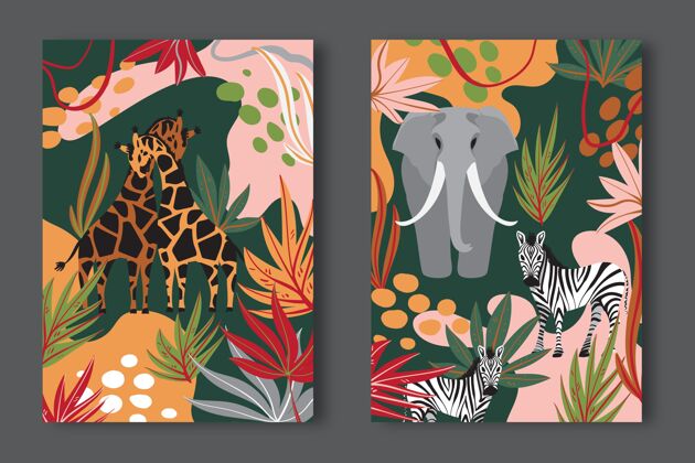 包装手绘野生动物封面收藏封面业务业务封面