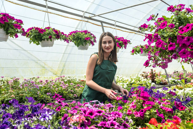 有植物的房间围裙里的年轻女园丁在花园里用花盆里的植物干活的肖像greenhouse.botanic花园室内植物爱好工作