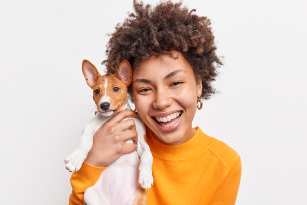 小美貌开朗的非洲裔女性肖像欣赏小血统狗伴穿着橙色套头衫与喜爱的宠物在白色墙壁上度过闲暇时光动物主人小狗卷曲血统
