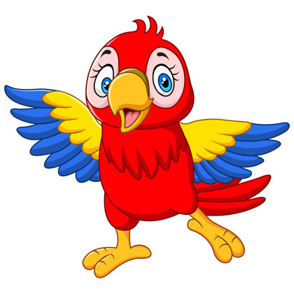 野生动物卡通有趣的小金刚鹦鹉吉祥物野生热带