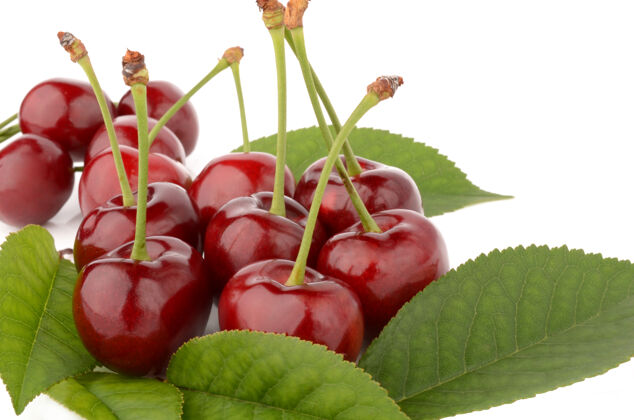 香气新鲜健康的樱桃在白色的表面隔离叶水果美味
