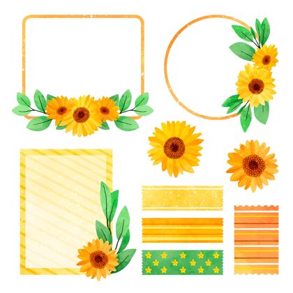 套装向日葵插图集手绘风格与框架设计花朵向日葵水彩