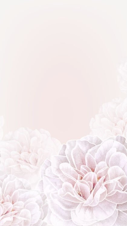 浅粉色花框手机背景空框架植物