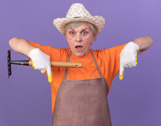 紫色惊讶的上了年纪的女园丁戴着园艺帽和手套点下来拿着耙子园艺手套帽子