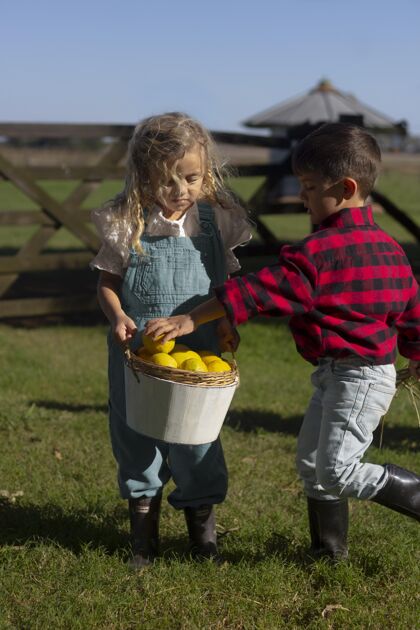 农场生活带水果的全副武装的孩子们活动乡村垂直