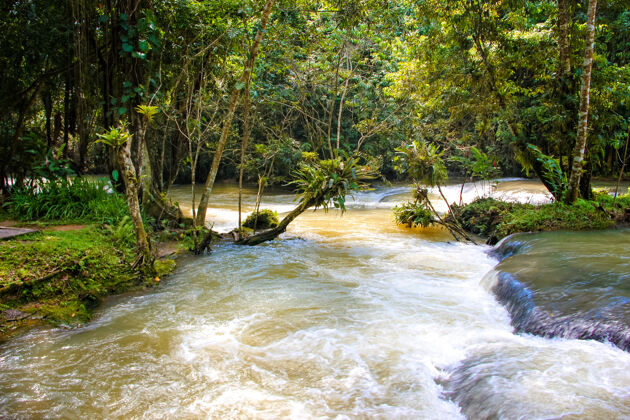 异国情调牙买加的邓恩河瀑布在邓恩河瀑布公园天堂景观水