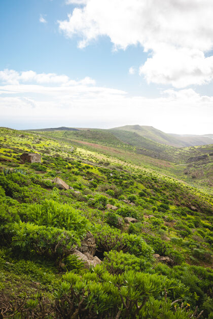 草地垂直拍摄一个美丽的山丘地形覆盖着绿色植被乡村山谷丘陵