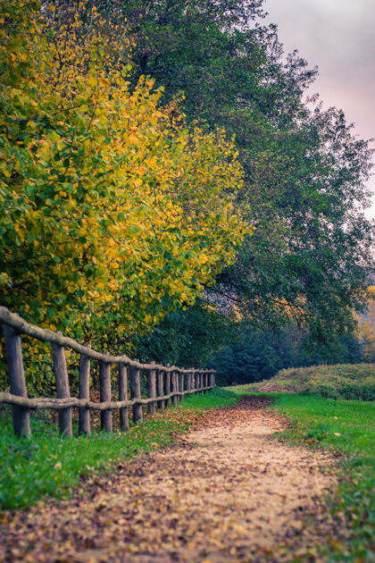 特写秋天公园里的木栅栏和小路的垂直镜头园艺小径景观