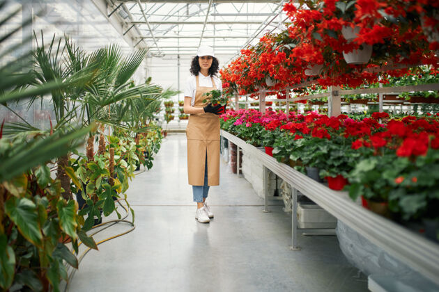 绿色植物女花匠手里拿着花盆在温室里摆姿势花园帽子工人